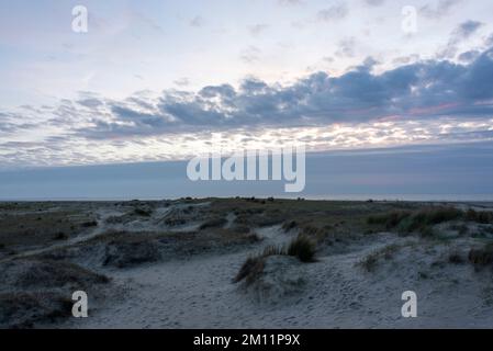 Mare di Wadden, paesaggio delle dune, Parco Nazionale del Mare di Wadden, Isola di Rømø, Syddanmark, Danimarca Foto Stock