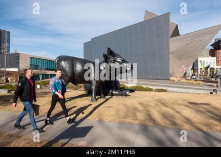 La scultura scozzese "Scottish Angus Cow & Calf" del 2003 di Dan Ostermiller, il Denver Art Museum (DAM), Denver, Colorado, USA Foto Stock