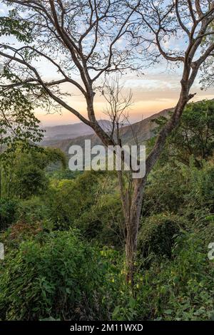 Sud America, Colombia, Departamento del Magdalena, Santa Marta, Sierra Nevada, Minca, tramonto sulle colline pedemontane della Sierra Nevada vicino a Minca Foto Stock