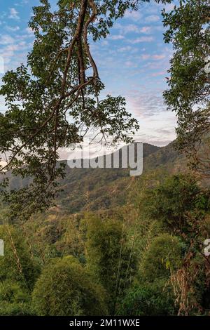 Sud America, Colombia, Departamento del Magdalena, Santa Marta, Sierra Nevada, Minca, tramonto sulle colline pedemontane della Sierra Nevada vicino a Minca Foto Stock