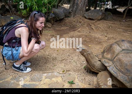 Una giovane donna e una tartaruga gigante nel Parco Naturale la Vanille, Isola Mauritius, Africa Foto Stock