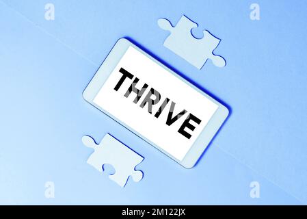 La scrittura che mostra il testo prospera. Panoramica aziendale pensare positivamente continuare a prosperare e fiorire il tempo di fiorire Foto Stock