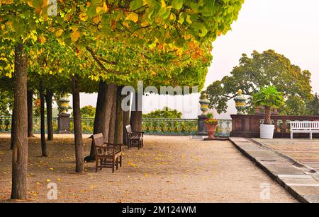 Europa, Germania, Assia, Contea di Limburg-Weilburg, Città di Weilburg, Lahntal, Castello di Weilburg, Parco del Castello superiore, Lindenboskett (Lindensaal) Foto Stock