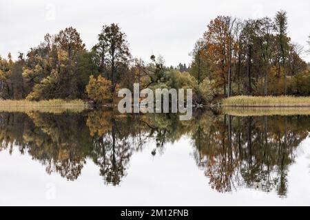 Europa, Polonia, Voivodato Warmian-Masurian, la Terra dei grandi Laghi Masuriani - Lago Lekuk Foto Stock