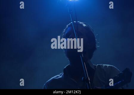 Il Bonnaroo Music and Arts Festival - i Lumineers in concerto Foto Stock