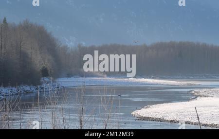 Paesaggio invernale della diga Eagle Run a Brackendale, Squamish, British Columbia, Canada Foto Stock