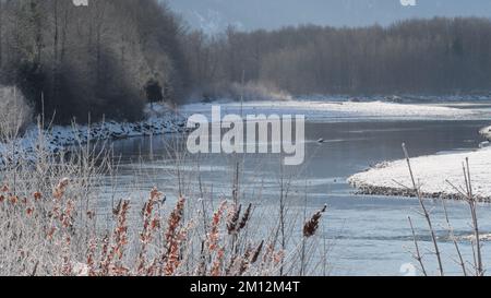 Paesaggio invernale della diga Eagle Run a Brackendale, Squamish, British Columbia, Canada Foto Stock