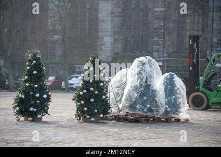 Alberi di Natale decorati, alberi di Natale avvolti, elevatore a forche, Magdeburgo, Sassonia-Anhalt, Germania Foto Stock