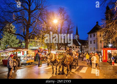 Carrozza trainata da cavalli al mercatino di Natale di Hohenems, palazzo del conte Hohenems, Vorarlberg, Austria. Foto Stock