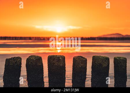 Alba con rosso mattina sulla spiaggia settentrionale dell'isola di Norderney Mare del Nord, groynes sfocato in primo piano Foto Stock