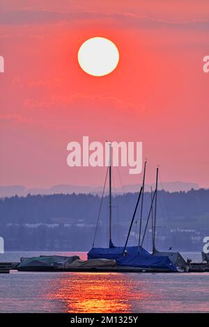 Prendere il sole sul porto, Zug, Canton Zug, Svizzera, Europa Foto Stock