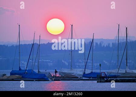 Prendere il sole sul porto, Zug, Canton Zug, Svizzera, Europa Foto Stock