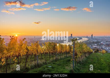 Vienna, alba a Vienna, vigneti, fiume Donau (Danubio), torre Donauturm, DC Tower 1, Millennium Tower, vista dalla collina di Nußberg nel 00. Panoramica, Austria Foto Stock