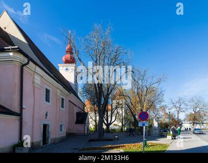 Orth an der Donau, chiesa Orth, bassa Austria, Austria Foto Stock