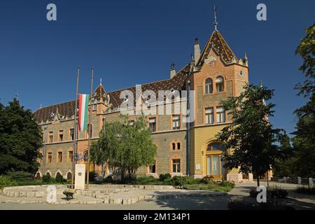 Art Nouveau Municipio con bandiera nazionale ungherese, Kossuth tér, Kecskemet, Ungheria, Europa Foto Stock