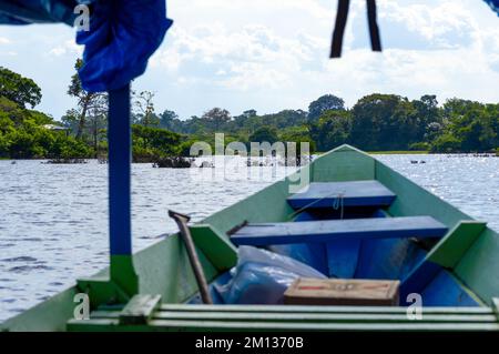 Gita in barca lungo il fiume Amazzonia all'interno della foresta pluviale nella regione di Manaus, Brasile Foto Stock