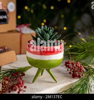 vasi di fiori in ceramica con scatole da regalo e decorazioni natalizie Foto Stock