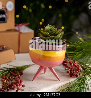 vasi di fiori in ceramica con scatole da regalo e decorazioni natalizie Foto Stock