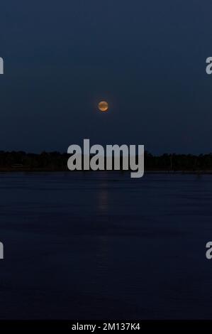 Notte di luna piena nella foresta amazzonica lungo il fiume amazzonico Foto Stock