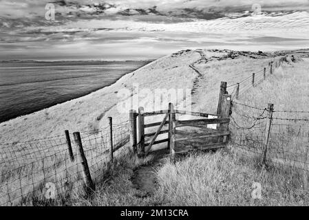 Paesaggio infrarosso bianco e nero Fotografia del Cardigan (ceredigion) percorso costiero a Mwnt Ceredigion Galles UK Foto Stock