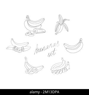 Set a banana. Illustrazione vettoriale nello stile di schizzo su sfondo bianco. Illustrazione Vettoriale