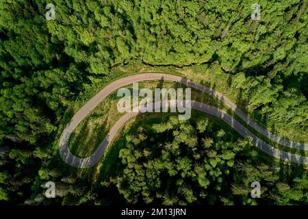 Svolta a fondo su una pista forestale, pista da sci in natura, vista aerea Foto Stock