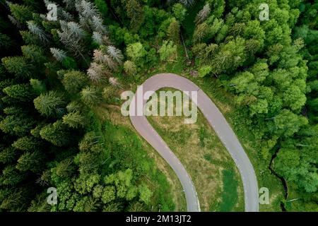 Svolta a fondo su una pista forestale, pista da sci in natura, vista aerea Foto Stock