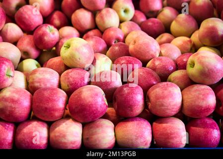 Mele rosse biologiche in grandi quantità Foto Stock