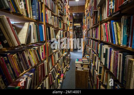 Scaffali all'interno della libreria Montana Valley Bookstore ad Alberton, Montana Foto Stock