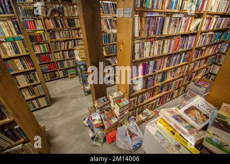 Scaffali all'interno della libreria Montana Valley Bookstore ad Alberton, Montana Foto Stock