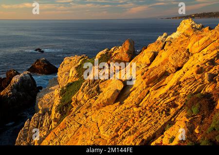 Vista sulla costa dall'Allan Memorial Grove Trail, dalla riserva statale di Point Lobos, dalla Big sur Coast Highway Scenic Byway, California Foto Stock