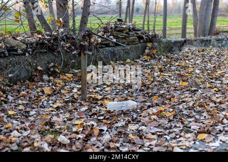 Una pompa a mano su un pozzo in una foresta senza acqua. concetto di scarsità d'acqua Foto Stock