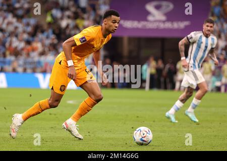 Al Daayen, Qatar. 09th Dec, 2022. Cody Gakpo, Paesi Bassi, durante la Coppa del mondo FIFA 2022, la partita di calcio del quarto trimestre tra Paesi Bassi e Argentina il 9 dicembre 2022 allo stadio di Lusail di al Daayen, Qatar - Foto: Jean Catuffe/DPPI/LiveMedia Credit: Independent Photo Agency/Alamy Live News Foto Stock