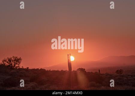 Il sole si fissa nel deserto Foto Stock