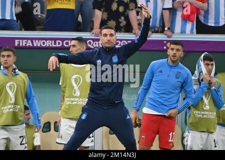 Allenatore SCALONI Lionel (ARG), gesto, fornisce istruzioni, immagine singola, motivo singolo ritagliato, mezza cifra, mezza cifra. Quarti di finale, quarti di finale, partita 57, Olanda (NED) - Argentina (ARG) 3-4 IE il 9th dicembre 2022, Lusail Stadium Football World Cup 20122 in Qatar dal 20th novembre. - Dalle 18.12.2022 alle Credit: dpa Picture Alliance/Alamy Live News Foto Stock