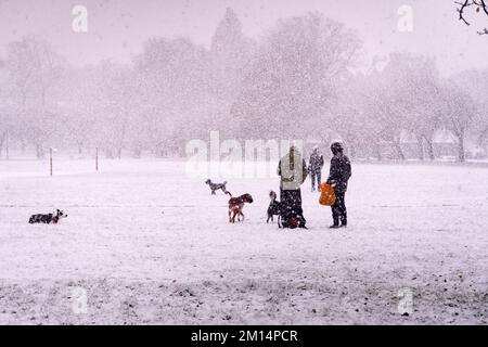 Edimburgo, Scozia, Regno Unito. 10th dicembre 2022. Nonostante una nevicata, il centro di Edimburgo non è stato fermato questa mattina. La gente camminava i cani ai Meadows nelle prime ore del mattino durante la nevaFornamento: Lorenzo Dalberto/Alamy Live News Foto Stock