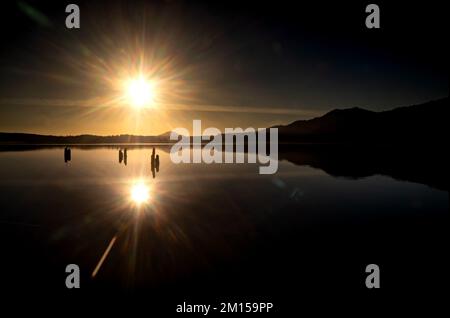 Quinault, WA - USA - dal 7 al 7 settembre 20, 2021: Vista orizzontale di un tramonto sul lago Quinault nel Parco Nazionale Olimpico. Foto Stock