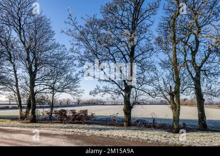 Athy, Co.. Kindare, Irlanda. 10th Dec, 2022. Il sole sorge sulla Moate Lodge Farm in una mattinata gelida ad Athy, nella contea di Kildare. Il Met Éireann ha previsto temperature inferiori allo zero per la settimana a venire. Credit: AG News/Alamy Live News Foto Stock