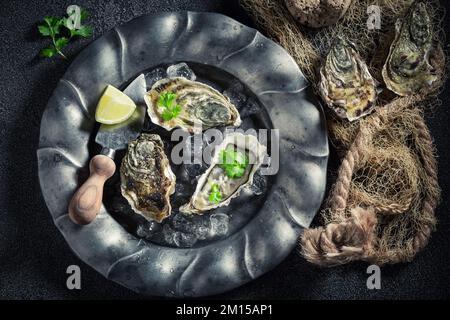 Ostriche fredde e gustose appena pescate in mare. Ostriche fresche servite su ghiaccio con lime e coriandolo. Foto Stock