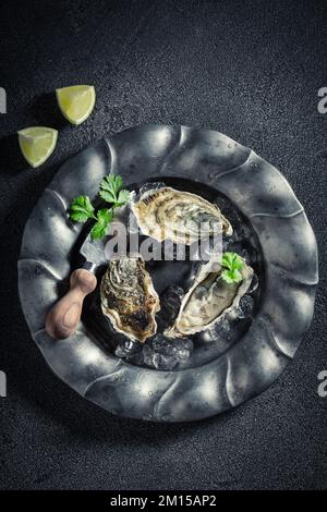 Ostriche aromatiche e deliziose appena pescate in mare. Ostriche fresche servite su ghiaccio con lime e coriandolo. Foto Stock