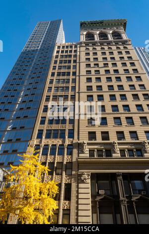 Il vivace fogliame dorato offre un forte contrasto con le facciate in pietra degli edifici di uffici lungo la Fifth Avenue, 2022, New York City, USA Foto Stock