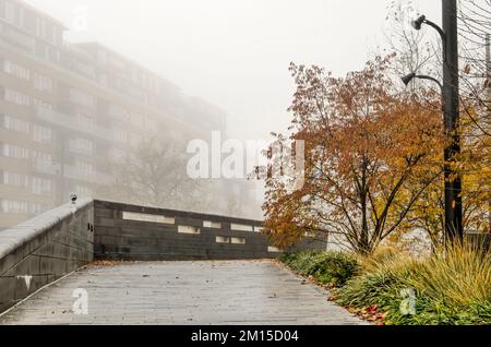 Rotterdam, Paesi Bassi, 29 novembre 2022: Sentiero lungo i cespugli colorati su piazza Binnenrotte in una giornata misteriosa a fine autunno Foto Stock