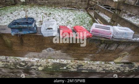 Usato, & ora spesi, pastelli di raddle di pecora colorati usati per indicare quali pecore sono state con il tup. La custodia in plastica si adatta all'imbracatura del cilindro. Foto Stock