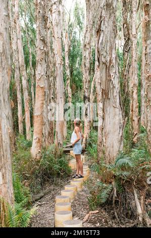 Donna in pantaloncini corti e top in piedi su barili durante la passeggiata nella foresta di corteccia di carta in Agnes Water, Queensland, Australia Foto Stock