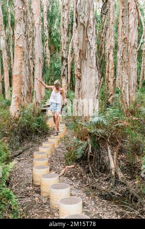 Donna in pantaloncini corti e top stendendo le braccia e l'equilibrio su barili durante la passeggiata nella foresta di corteccia di carta in Agnes Water, Queensland, Australia Foto Stock