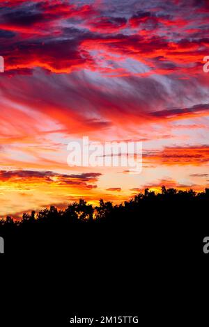 Vista mozzafiato delle vivaci nuvole arancioni e rosse al tramonto che galleggiano sopra le silhouette scure degli alberi della foresta Foto Stock