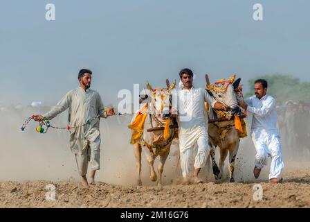 La gente del villaggio di Punjab in abbigliamento bianco nella corsa di Karah del toro - evento rurale in Pakistan Foto Stock