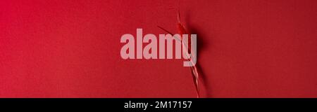 Color trendy viva magenta spikelet secco su sfondo di carta. Foto Stock