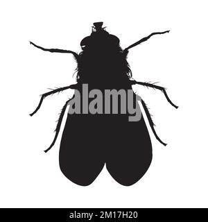 Arte vettoriale della silhouette di Housefly Illustrazione Vettoriale