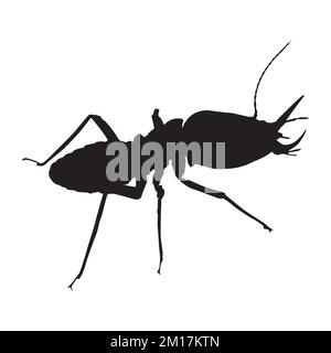 Illustrazione vettoriale della silhouette di Termite Art Illustrazione Vettoriale